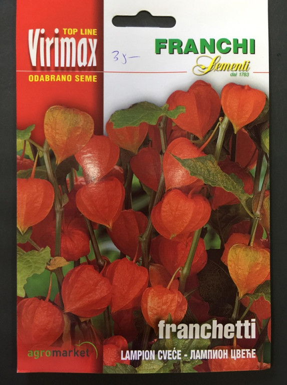 Kineski lampion (Physalis Franchetti)
