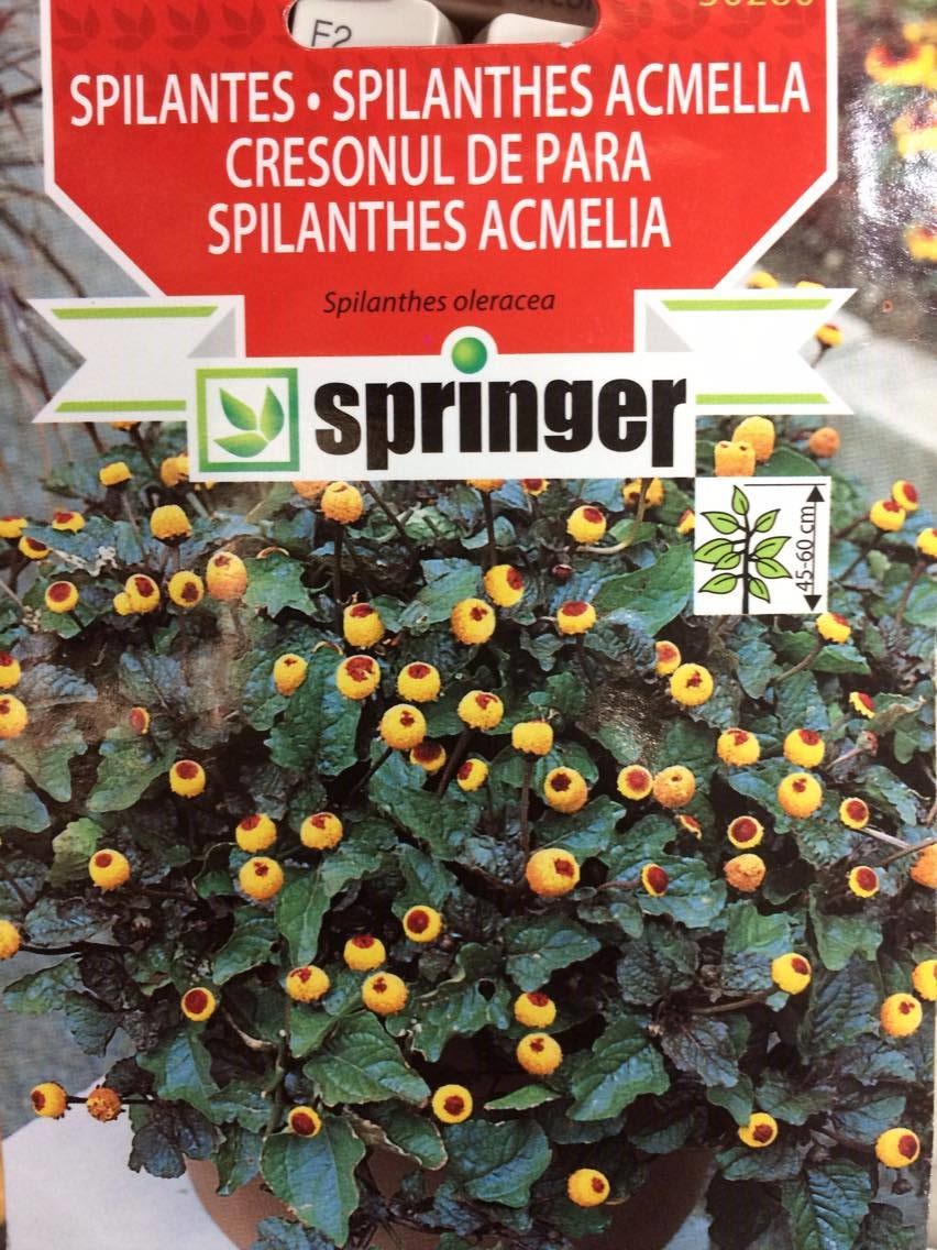 Spilantes 0,1 g