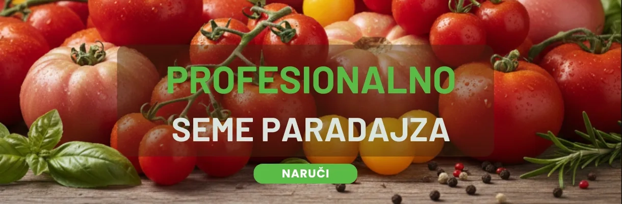 PARADAJZ