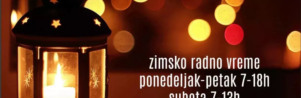 zimsko