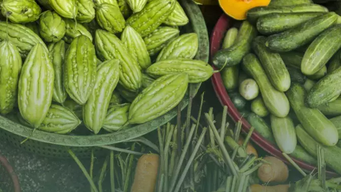 Setva povrtarskih kultura u jesen