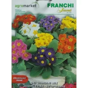 Jagorčevina (Primula acaulis L.)