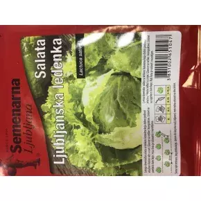 Salata Ljubljanska ledenka 20 g