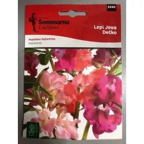 Cveće LEPI JOVA DEČKO 2440