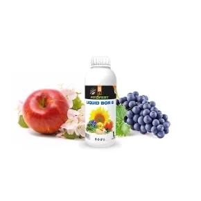 Fitofert Liquid Bor 8
