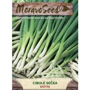 Luk za vezice Entiteta