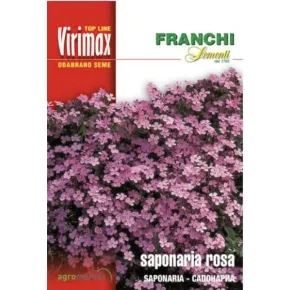 Cveće SAPONARIA-ROSA Virimax