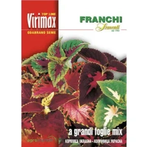 Cveće Koprivica ukrasna - Grandi foglie mix (Coleus V.L.) Virimax