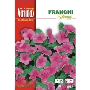 Cveće VINCA-NANA ROSA Virimax