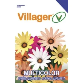 Afrička margareta (Dimorphoteca mix)