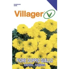 Cveće KADIFA-GIALLO ŽUTA Villager