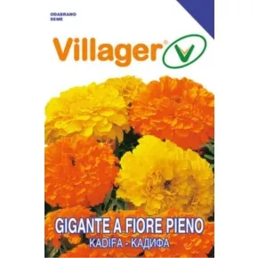 Cveće KADIFA-GIGANTE PIENNO MIX Villager