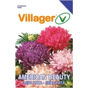 Cveće LEPA KATA-AMERICAN BEAUTY MIX Villager