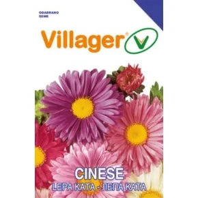 Cveće LEPA KATA-CINESE Villager