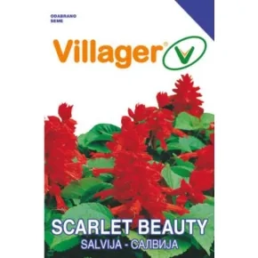 Cveće SALVIJA-SCARLET BEAUTY Villager