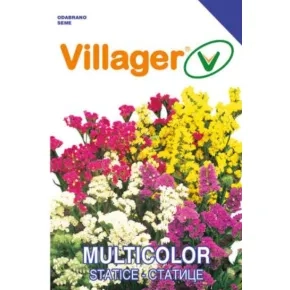Cveće STATICE MULTICOLOR Villager