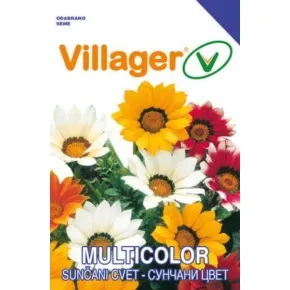 Cveće SUNČANI CVET GAZANIA Villager