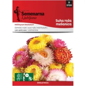 Suva ruža 3720/2