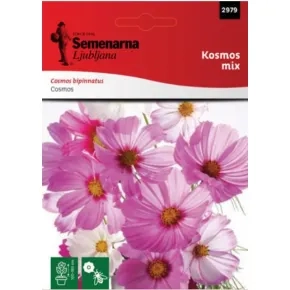Cveće KOSMOS MIX 2979 (Kosmeja)