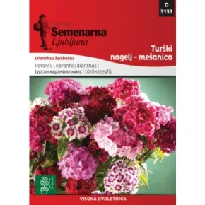 Cveće TURSKI KARANFIL MIX 3133