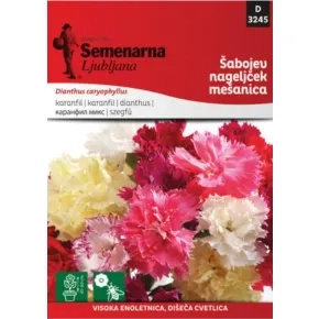 Cveće ŠEBOJ MIX (šabo karanfil) 3245