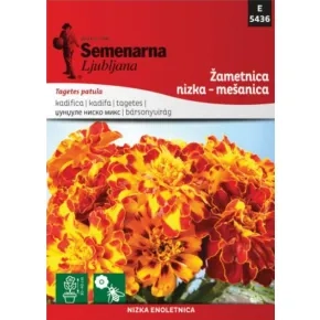 Cveće KADIFA NISKA MIX 5436