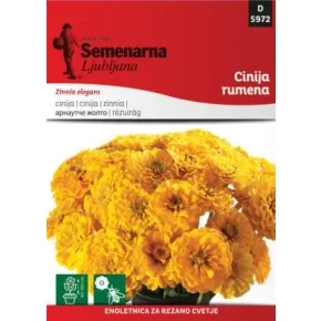 Cveće CINIJA elegantna ŽUTA 5972