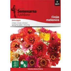 Cveće CINIJA MIX elegantna 5971