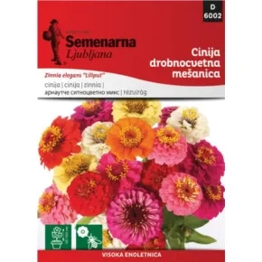 Cveće CINIJA SITNOCVETNA MIX (elegantna niska mix) 6002