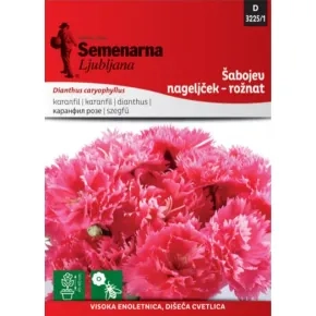 Cveće ŠEBOJ KARANFIL pink 3225/1
