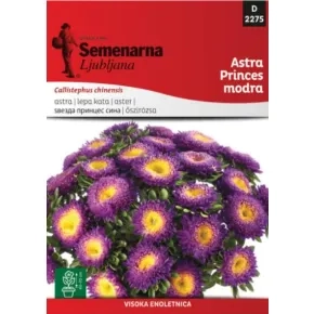 Cveće LEPA KATA PRINCES PLAVA 2275