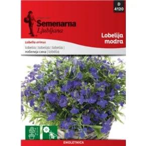 Cveće LOBELIJA blue 4120