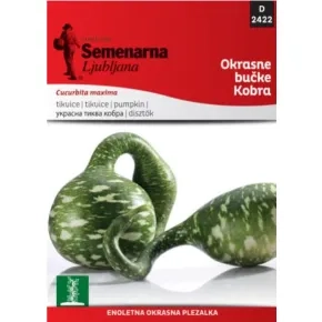 Cveće UKRASNA TIKVA KOBRA 2422