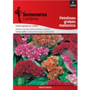 Cveće PETLOVA KRESTA MIX 2742