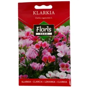 Cveće KLARKIA Floris