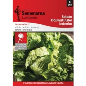 Salata Dalmatinska ledenka 3,5 g 361