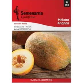 Dinja Ananas 1,5 g 750