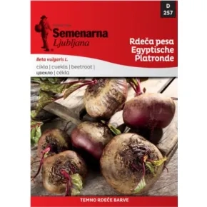 Cvekla Egipatska 4 g 257