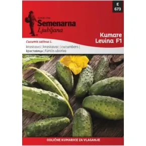 Krastavac kornišon Levina F1 673