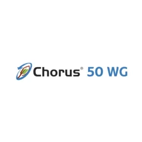 Chorus 50 WG Chorus 50 WG