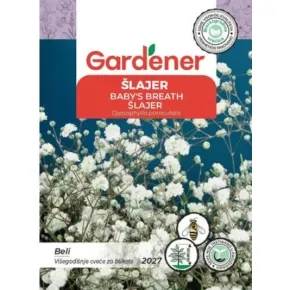 Cveća ŠLAJER DVOGODIŠNJI 2027