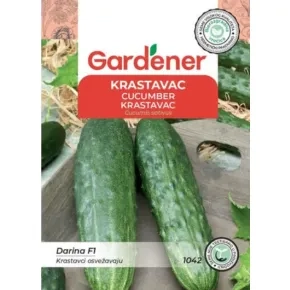 Krastavac Darina 1042