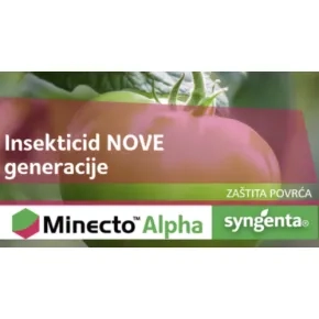Minecto alpha 