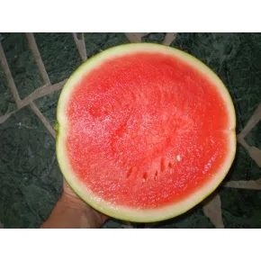 Lubenica Dark Star F1