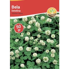 Detelina bela 50 g Detelina bela 50 g