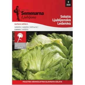 Semenarna Salata Ljubljanska ledenka 20 g