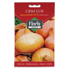 Luk holandski žuti 1g