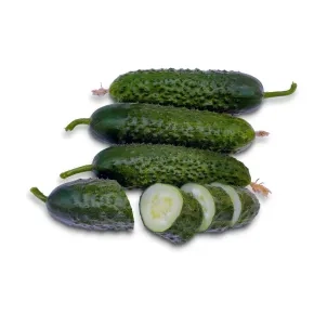 Krastavac kornišon Cassius F1