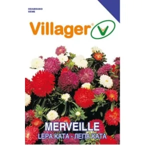 Cveće LEPA KATA-MERVEILLE MIX Villager 