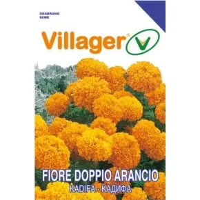 Cveće KADIFA-ARANCIO ORANZ Villager 